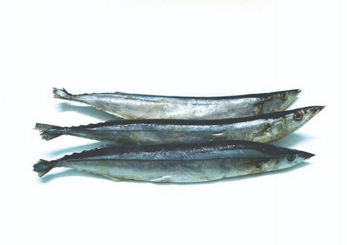 Cá kìm - Thực phẩm Hưng Gia - Công Ty TNHH Xuất Nhập Khẩu Quốc Tế Hưng Gia